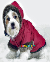 Hundejacke