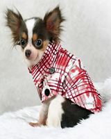 Hundehemd