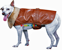 Winter Coat