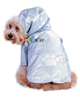 Raincoat