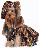 Dog coat