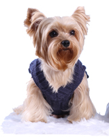 Dog knitted Pullover
