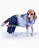 Ensemble pantalon jean et shirt