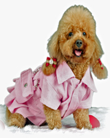 Robe en velours