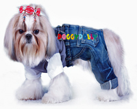 Pantalons de jean
