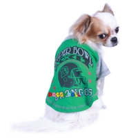 T-Shirt vert Super Bowl