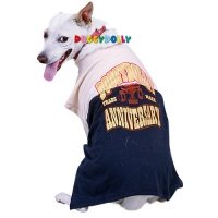 BIG DOG T-Shirt DD anniversary blau