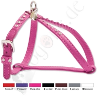harnais OSTRAS Size 000