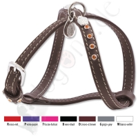 harnais Snake Size 2