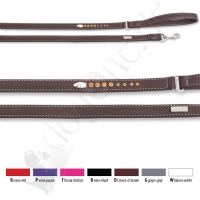 laisse SNAKE 1,2x110cm
