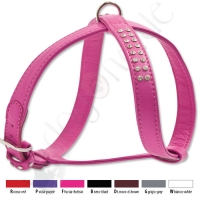 Geschirr verstellbar OSTRAS 2,0cm Gr��e 8