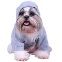 Kapuzenshirt 
