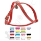 Geschirr soft Kunstl. STRASS SEMPRE INSIEME CM. 1,2x mis.2