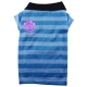 Polo blue stripes
