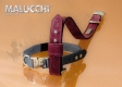 Halsband EVOLUTION 2,0x35cm
