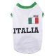 Fu�balltrikot Italien 2012