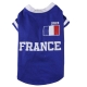 Fu�balltrikot Frankreich 2012