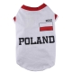 BIG DOG tricot de football pologne 2012