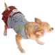Hundekleid 