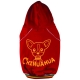 Chihuahua red