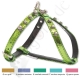 Geschirr verstellbar GLAM CM. 1,5 x mis. 1