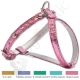 Geschirr GALAXY CRISTAL CM. 1,2x mis.0