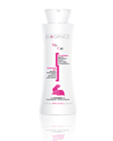 Katzenshampoo