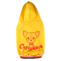 Chihuahua jaune