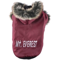Mt. Everest red jacket