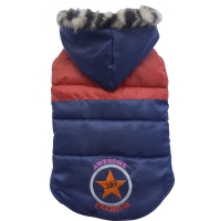 Dog vest Star Awesome blue and red