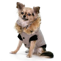 Winter dog vest grey, size S