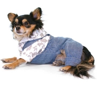 Salopette canine Jeans bleu claire, L