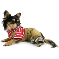 Dog bib pants, S Khaki with plaid lining