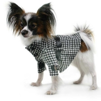Manteau chien City noir-blanc avec ceinture XS