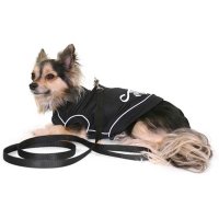 Dog harness soft with leash black with reflectors, size XS