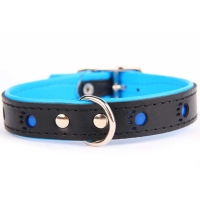 Leather collar reflector paw BLACK BLUE 60x2,5