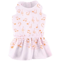 Robe musicienne blanche