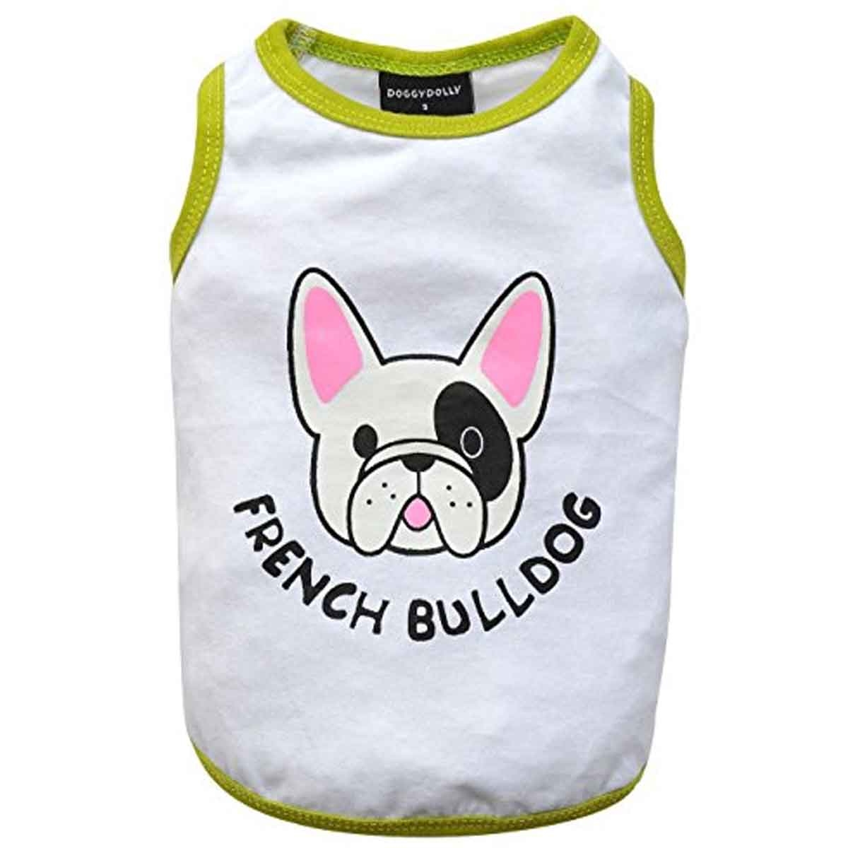Top französische Bulldogge weiß mit grün