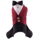 Red tuxedo 4 legs