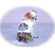 Doggydolly Camouflage Hundekleid Hell on wheels weiß