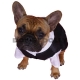 Bully Frack mit Hose, Hemd, Fliege schwarz Mops & Bulldogge