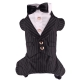 Black stripe 4 legs