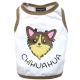 Top Chihuahua weiß mit braun