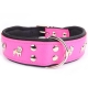 Lederhalsband Bulldogge pink-schwarz 65x4