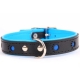 Lederhalsband Reflektorpfote schwarz-blau 60x2,5