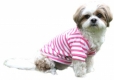 Hunde-Kapuzenshirt rosa-weiß gestreift