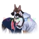 Cowboy jacket - Big Dog