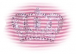 Pink crown dress