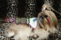 Doggydolly Hundekleid Blume weiß-grau gestreift