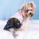 Doggydolly Hunde-Jeanskleid Bitch
